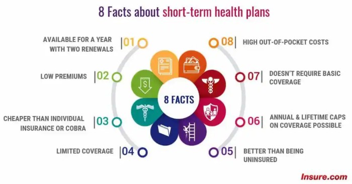 Term short insurance health medical plans illinois