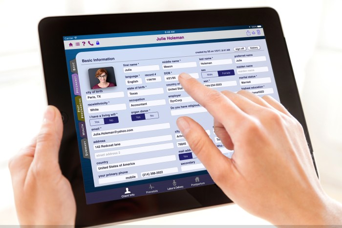 Electronic ipad charting software healthcare works client health record emr patient mobile app care ehr portal primary